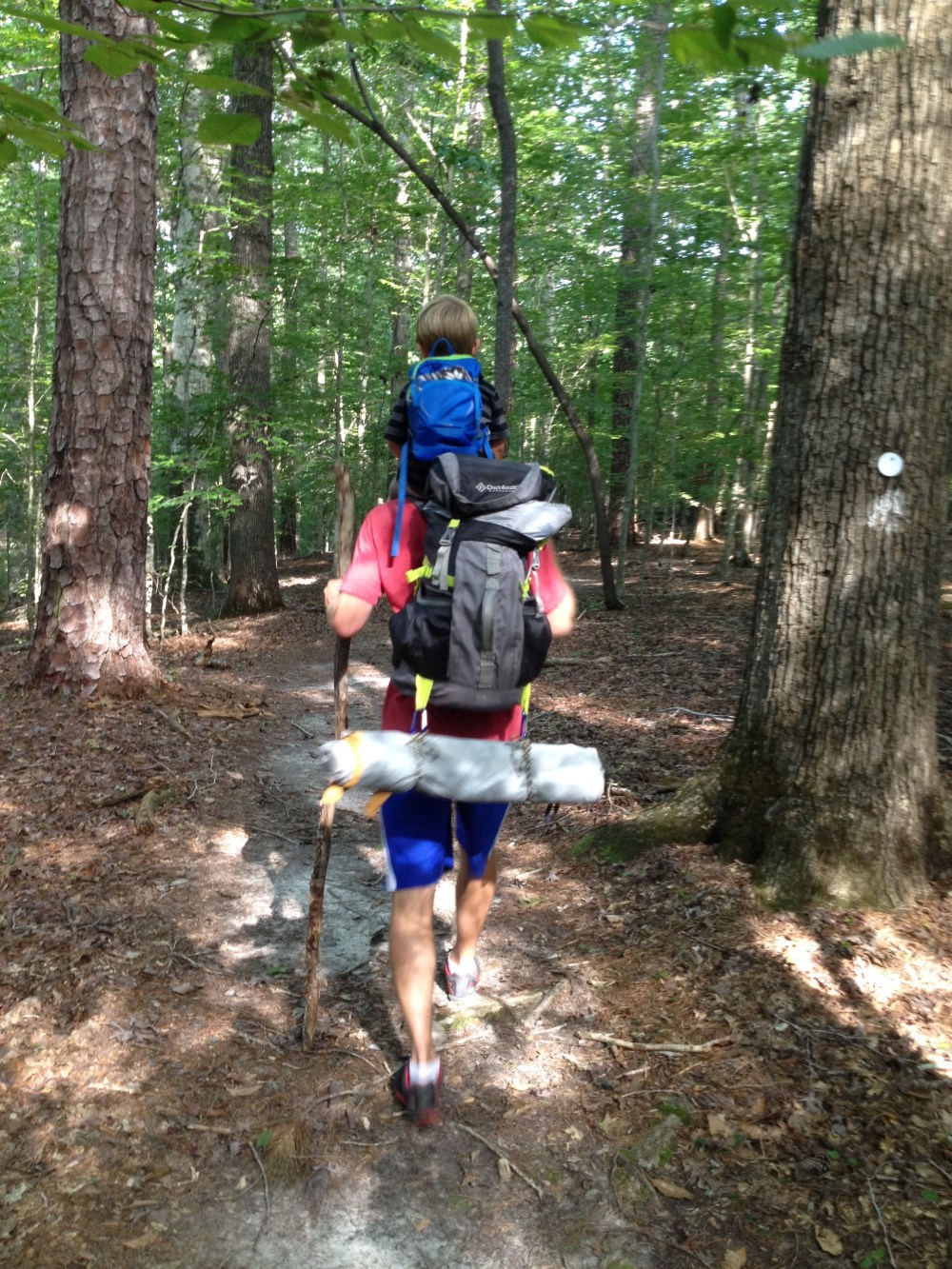 Photo Album: Summer Camping at Merchants Millpond State Park,&nbsp;NC