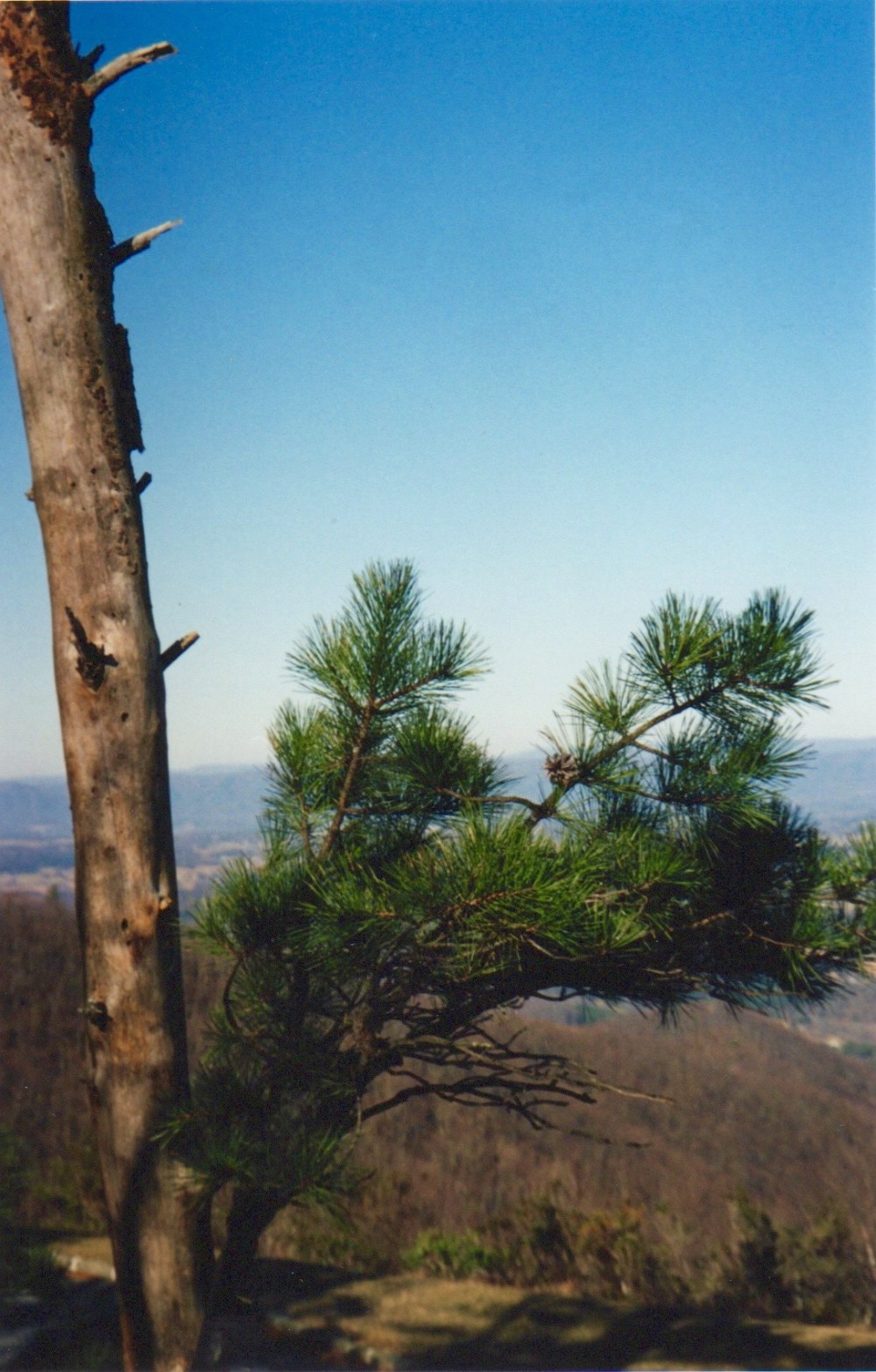 From the Archives: Jefferson National Forest, Fall&nbsp;2006