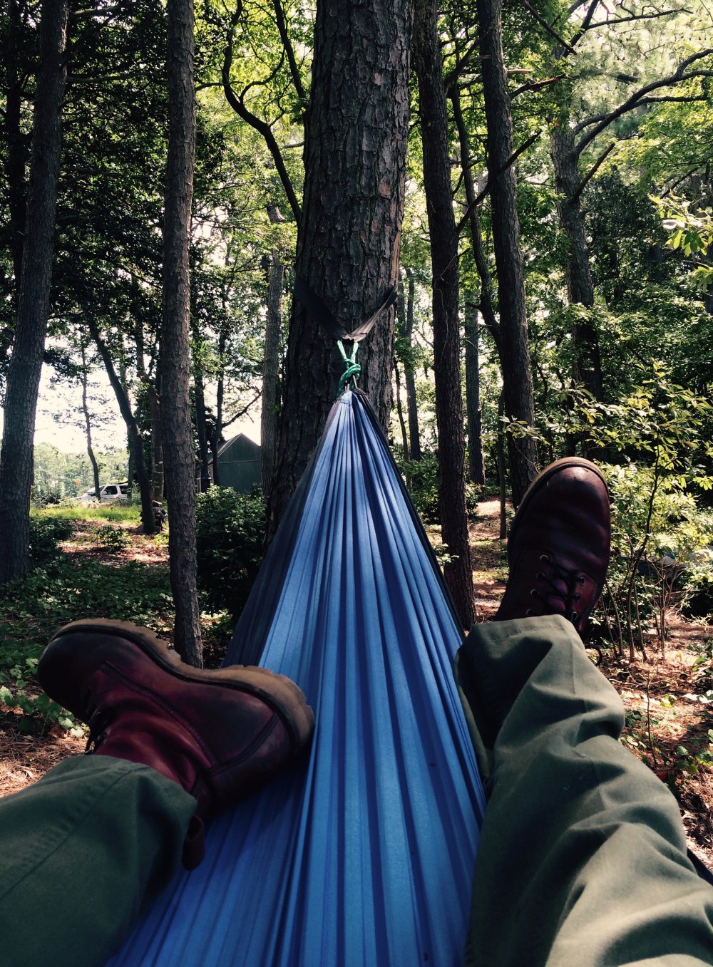Hammocking in Hermine